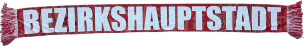 Schal "Bezirkshauptstadt" SK Korneuburg
